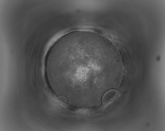 X0000094810294200711241452