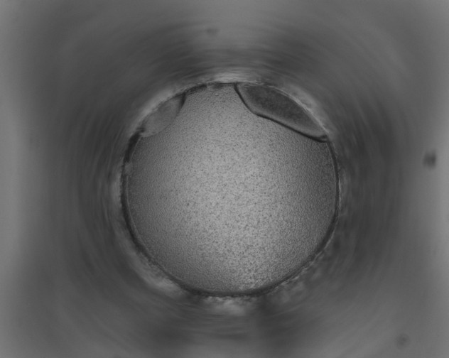 X0000094810297200711241452