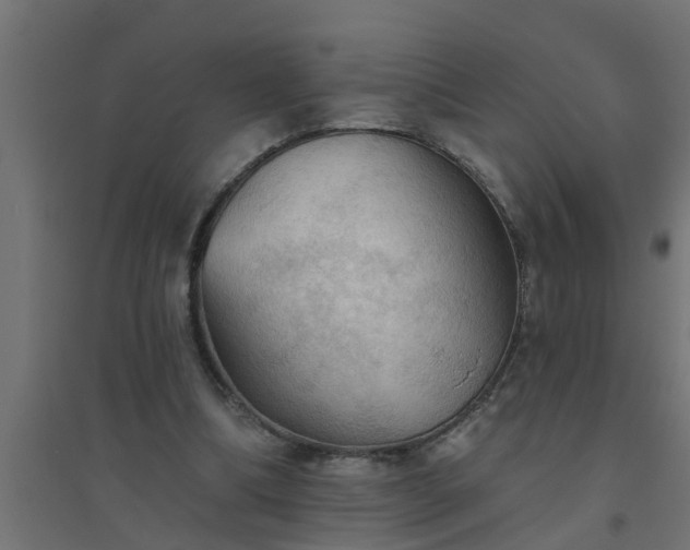 X0000094810298200711241452