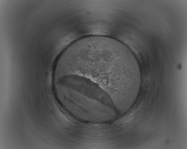 X0000094810299200711241452