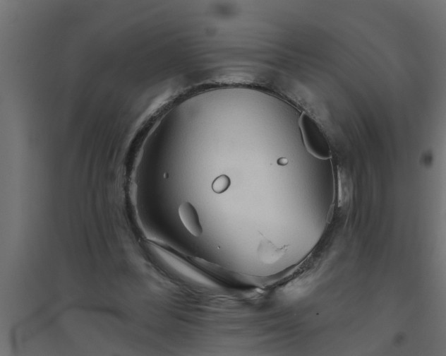 X0000094810300200711241452