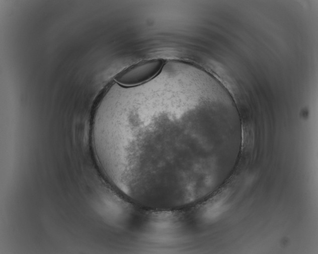 X0000094810301200711241452