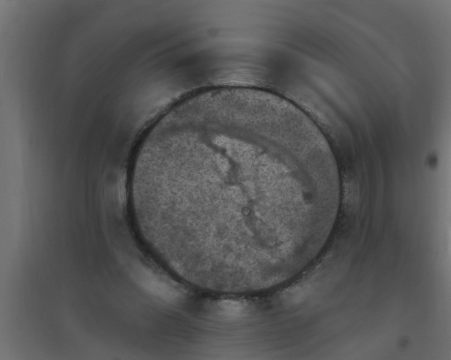 X0000094810302200711241452