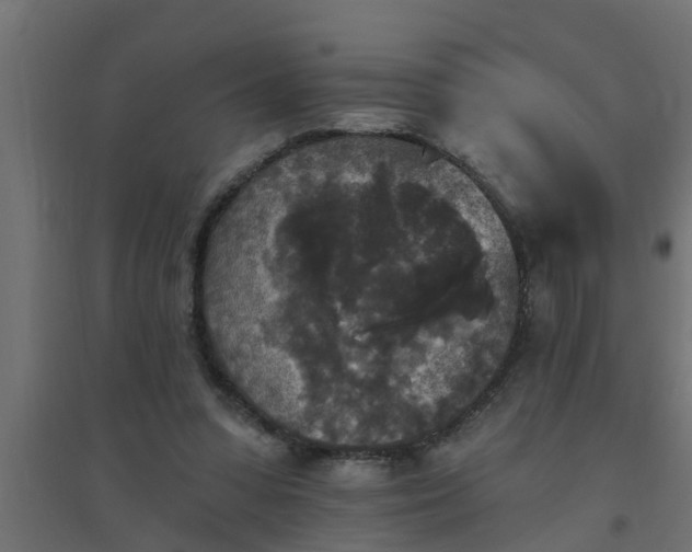 X0000094810303200711241452