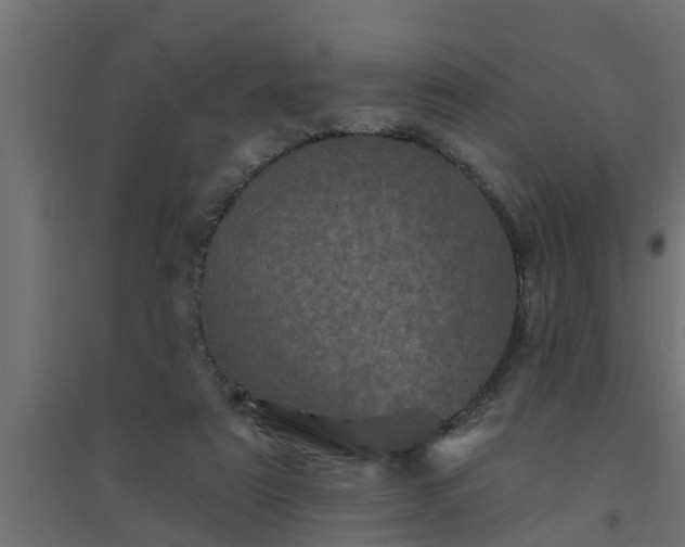 X0000094810307200711241452