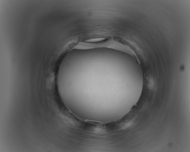 X0000094810308200711241452