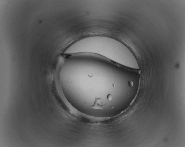 X0000094810309200711241452