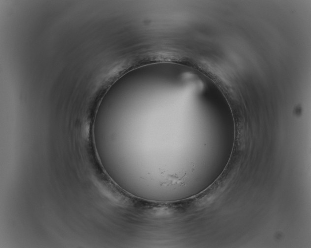 X0000094810310200711241452