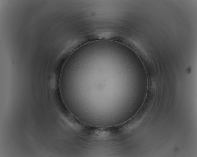 X0000094810311200711241452