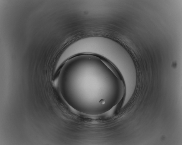 X0000094810312200711241452