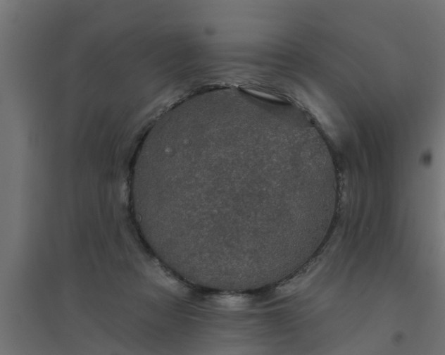 X0000094810313200711241452