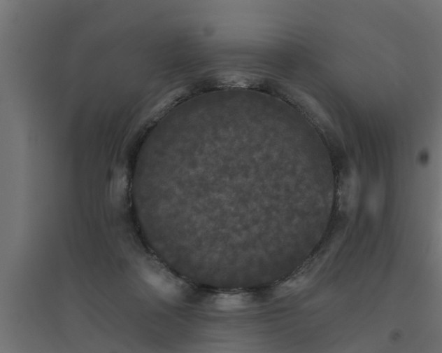 X0000094810314200711241452