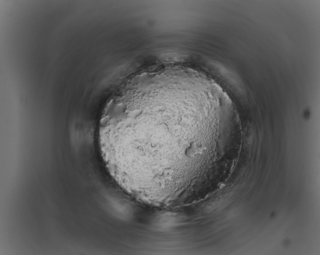 X0000094810315200711241452