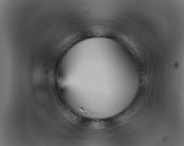 X0000094810317200711241452