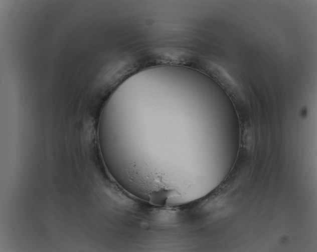 X0000094810318200711241452