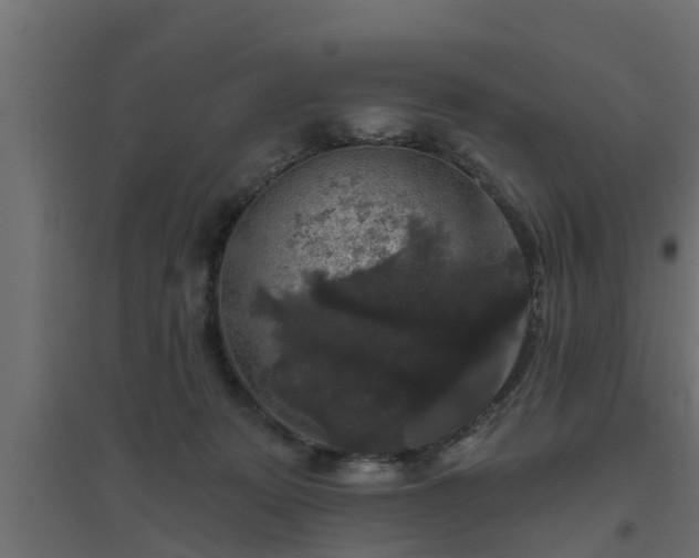 X0000094810319200711241451