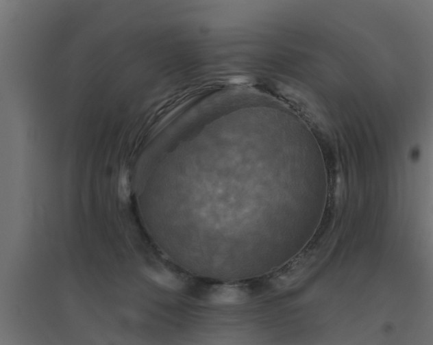 X0000094810320200711241451