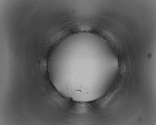 X0000094810321200711241451