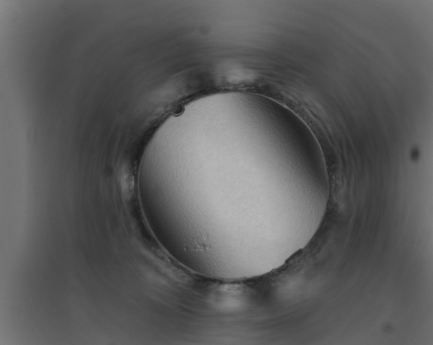 X0000094810324200711241451