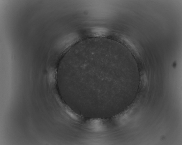 X0000094810325200711241451