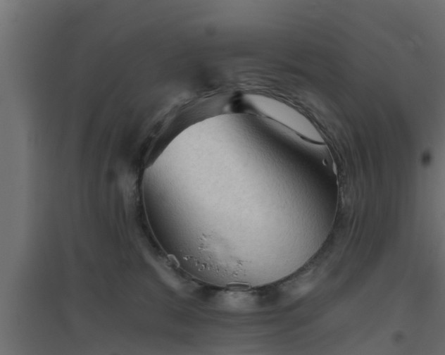 X0000094810327200711241451