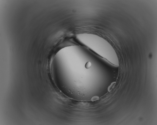 X0000094810328200711241451