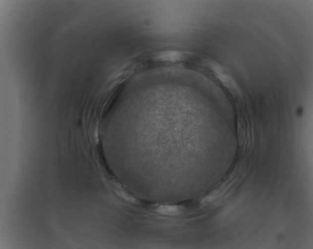 X0000094810332200711241451