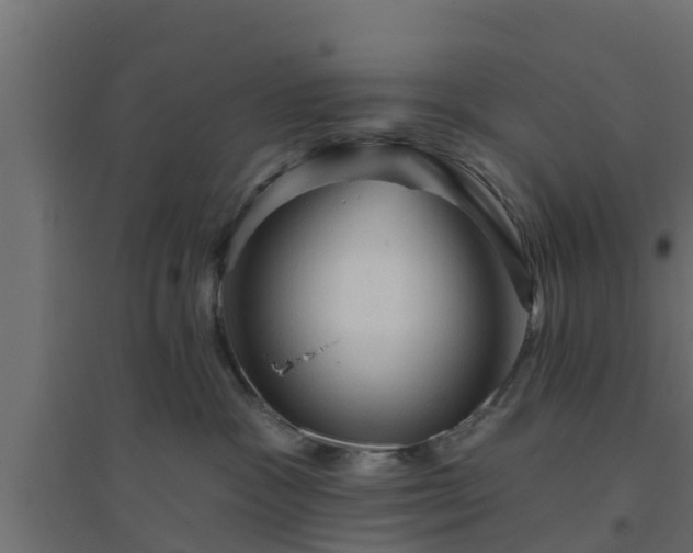 X0000094810333200711241451