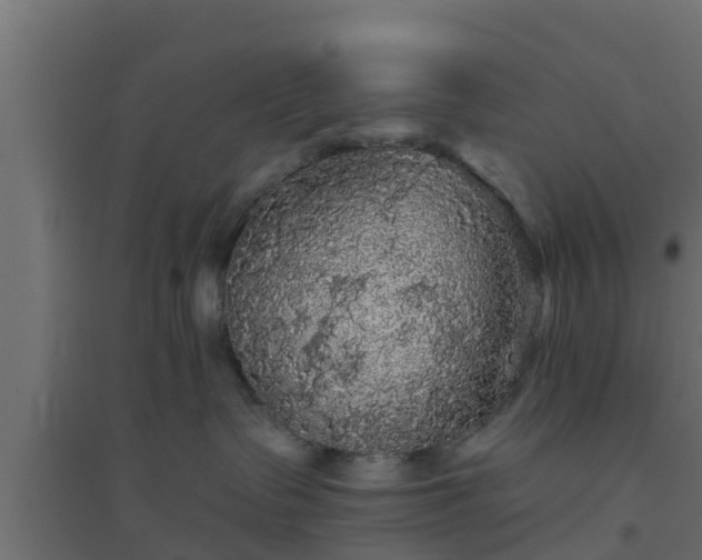 X0000094810335200711241451