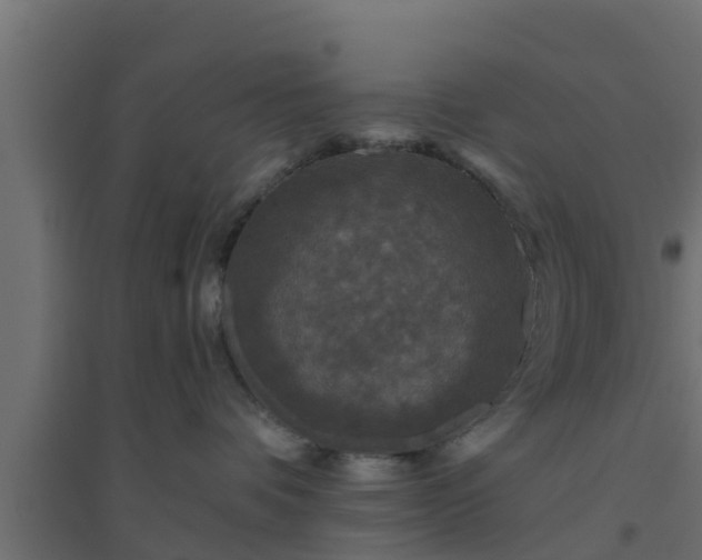 X0000094810336200711241451