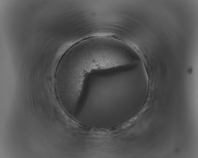 X0000094810337200711241451