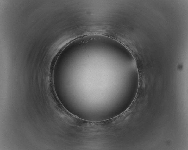 X0000094810338200711241451