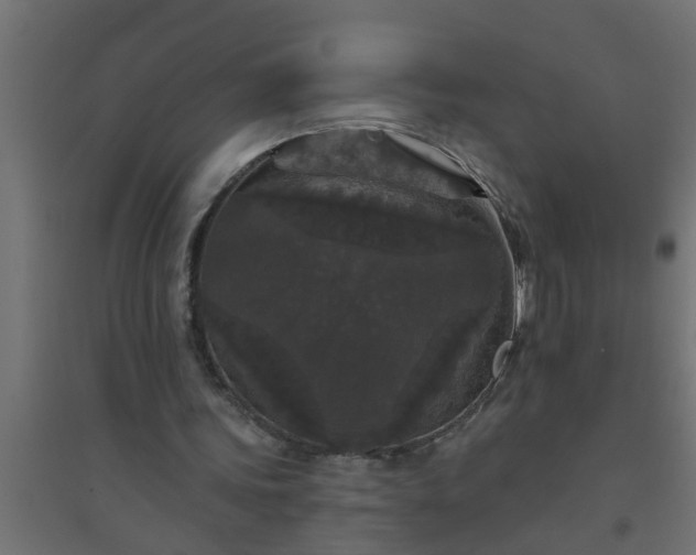 X0000094810339200711241451