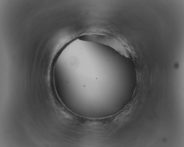 X0000094810340200711241451