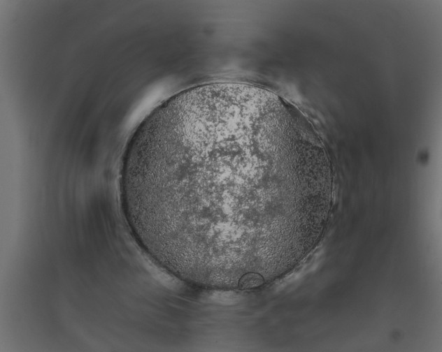 X0000094810341200711241451