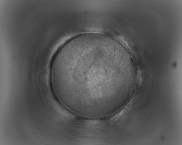 X0000094810342200711241451