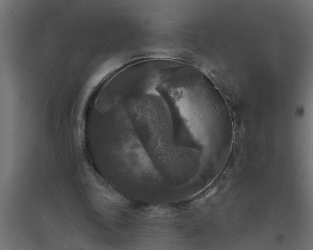 X0000094810343200711241451