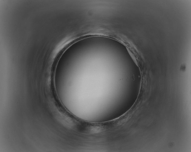 X0000094810344200711241451