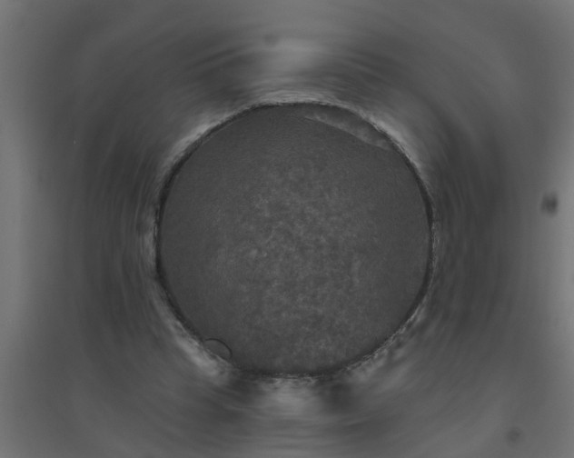 X0000094810345200711241451