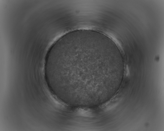 X0000094810346200711241451