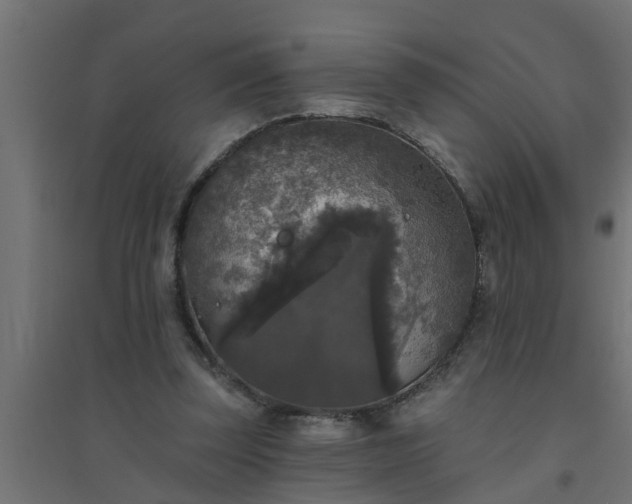 X0000094810347200711241451