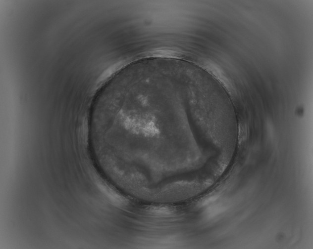 X0000094810349200711241451