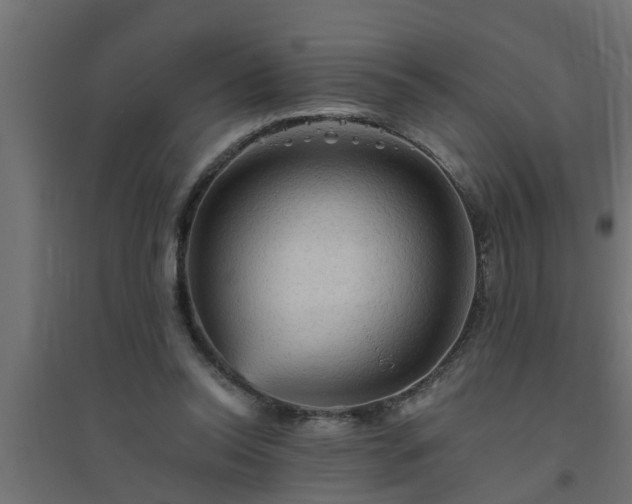 X0000094810350200711241451