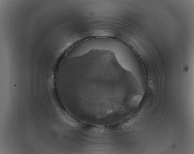 X0000094810351200711241451