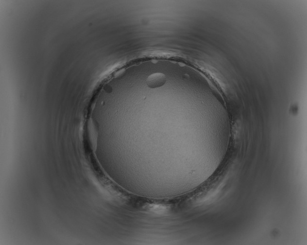 X0000094810352200711241451