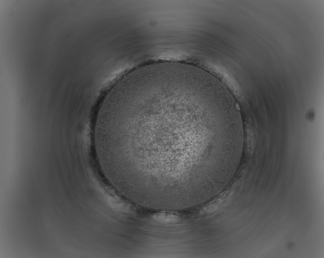 X0000094810354200711241451