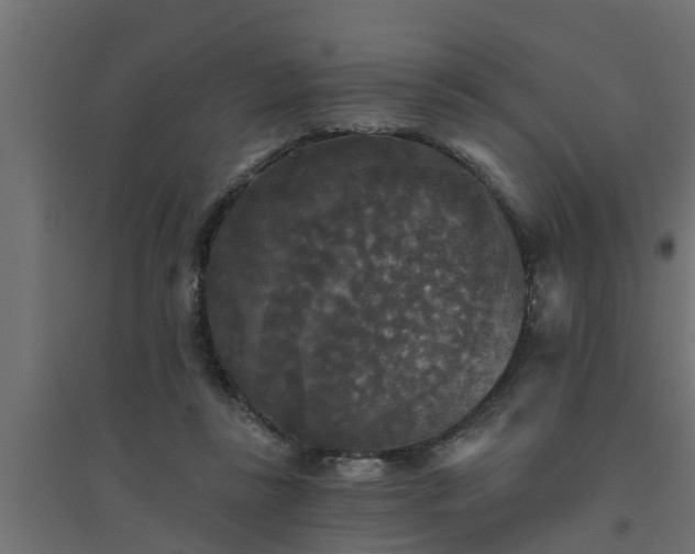 X0000094810355200711241451