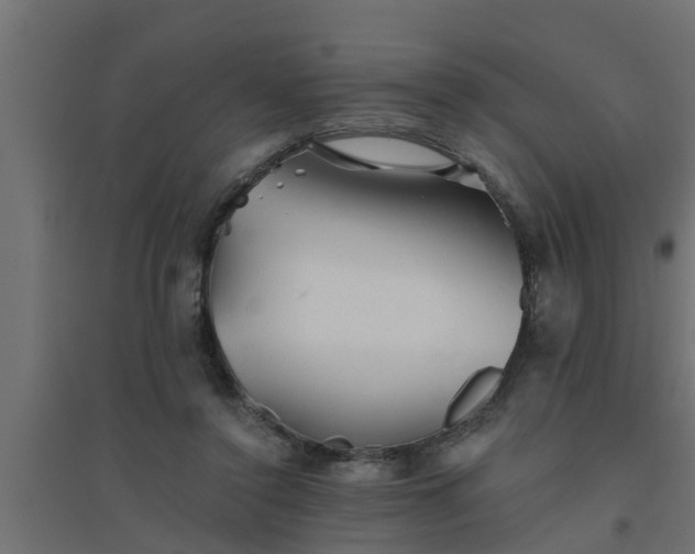 X0000094810356200711241451