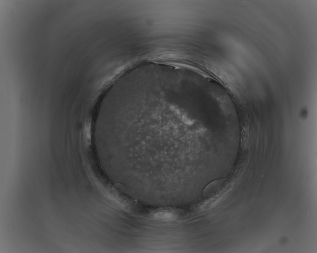 X0000094810358200711241451