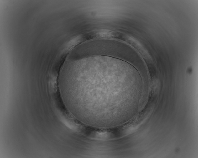 X0000094810360200711241451